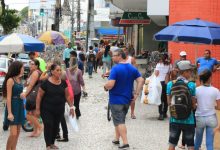 buquê, perfume, cestas, serviços, flores, presentes, mães