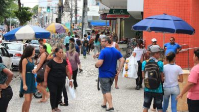 buquê, perfume, cestas, serviços, flores, presentes, mães