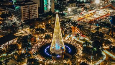 Prefeitura de Campina Grande entrega decoração do Natal Iluminado com árvore de 45 metros no Açude Novo