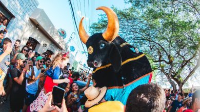 Muriçocas do Miramar recebe cortejo do Boi da Macuca nesta quarta-feira
