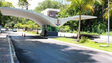 Professores de Universidades Públicas da Pb Paralisam Taxa Paralaga Contra Reforma Administrativa