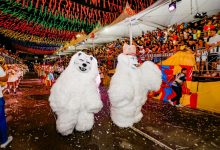 Ala Ursas invadem a Avenida Duarte da Silveria neste sábado (21) e Domingo (22) em JP - WSCOM