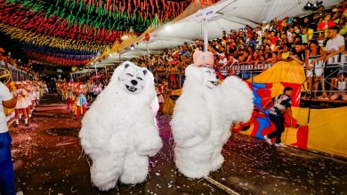 Ala Ursas invadem a Avenida Duarte da Silveria neste sábado (21) e Domingo (22) em JP - WSCOM