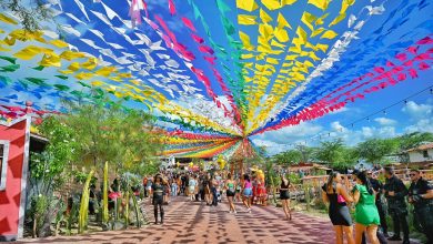 Vila Sítio São João inicia divulgação de atrações; confira