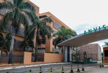 Anvisa atualiza limites de cúrcuma em suplementos alimentares