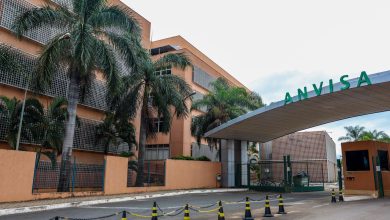 Anvisa atualiza limites de cúrcuma em suplementos alimentares