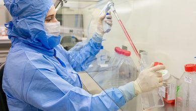 Estudo usa células-tronco contra complicações do transplante de medula