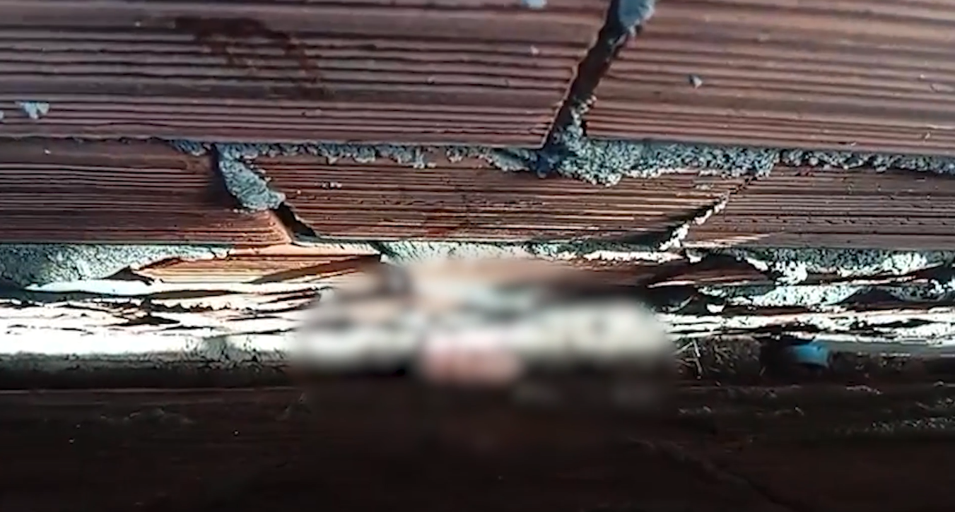 Recém-nascido morre após ser abandonado na Paraíba; mãe adolescente é apreendida