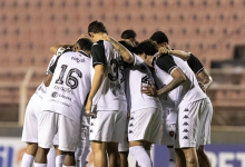 botafogo pb botafogo-pb botafogo da paraíba