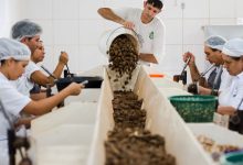 Consulta sobre bens sustentáveis no acordo Mercosul–UE acaba na quarta